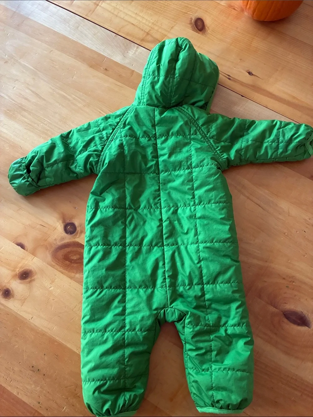 Patagonia insulated hooded